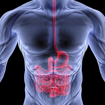 Exame De Endoscopia Digestiva Preparo E Como Feito